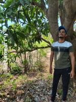 Matrimonial marriage photo